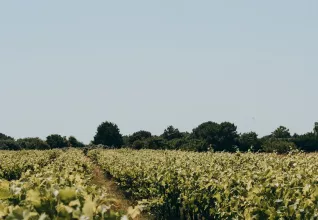 Camping l'orée des Bois île d'Oléron © Maéva Williot