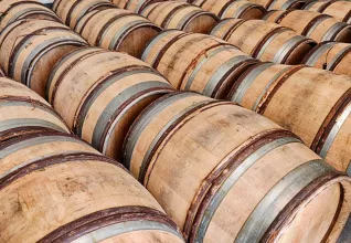 Découverte d'Auxerre et sa région avec l'ATC Routes du Monde