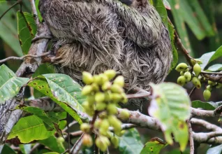Au cœur du Panama avec l'ATC Routes du Monde
