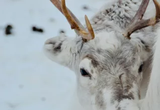 Épopée finlandaise avec l'ATC Routes du Monde