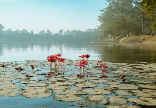 Au cœur du Cambodge éternel avec l'ATC Routes du Monde