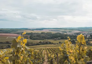Découverte d'Auxerre et sa région avec l'ATC Routes du Monde
