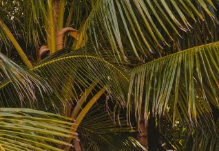 Le Yucatan autrement avec l'ATC Routes du Monde