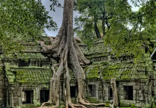 Au cœur du Cambodge éternel avec l'ATC Routes du Monde