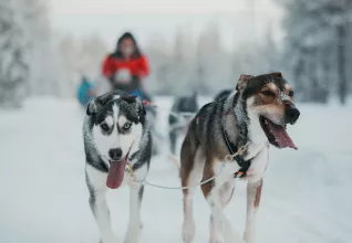 Épopée finlandaise avec l'ATC Routes du Monde