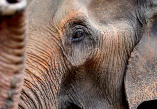 Splendeurs de Thaïlande avec l'ATC Routes du Monde