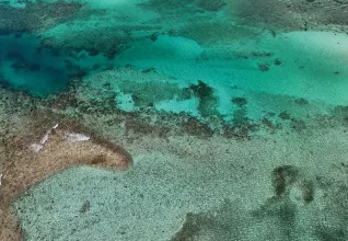 Le Yucatan autrement avec l'ATC Routes du Monde