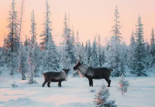 Épopée finlandaise avec l'ATC Routes du Monde