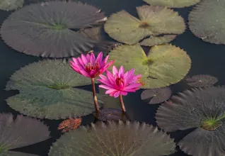 Au cœur du Cambodge éternel avec l'ATC Routes du Monde