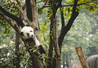 Merveilles de Chine avec l'ATC Routes du Monde