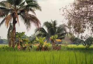 Splendeurs de Thaïlande avec l'ATC Routes du Monde