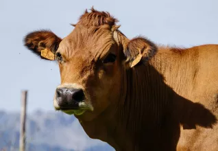 Notre village de vacances à Saint-François Longchamp