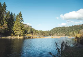 Gîte Bussang ATC Routes du Monde © Office du Tourisme Grand Est Pierre Defontaine