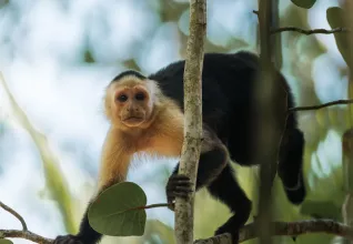 Costa Rica