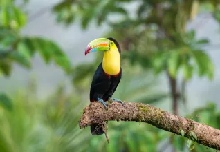 Costa Rica