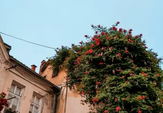 Kosovo & Macédoine du Nord avec l'ATC Routes du Monde