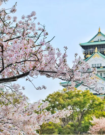 circuit japon