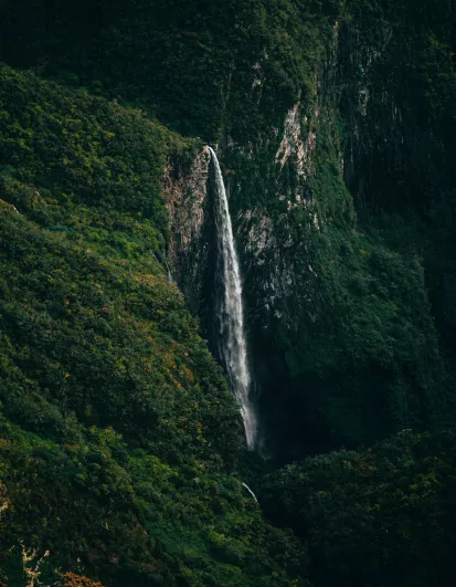 Cascade sur l'île de la Réunion