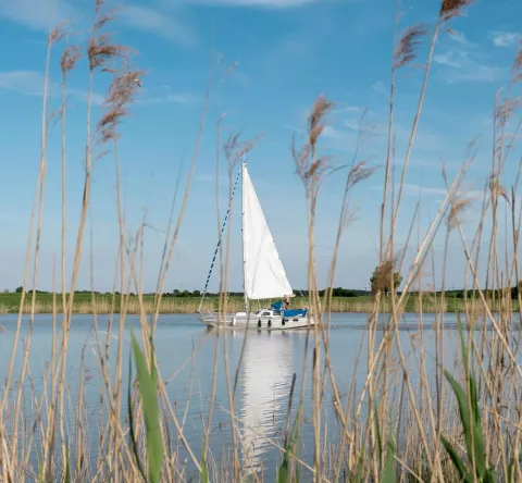Voilier en mer