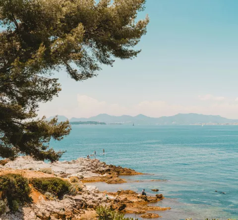 Randonnées & Tourisme en Provence