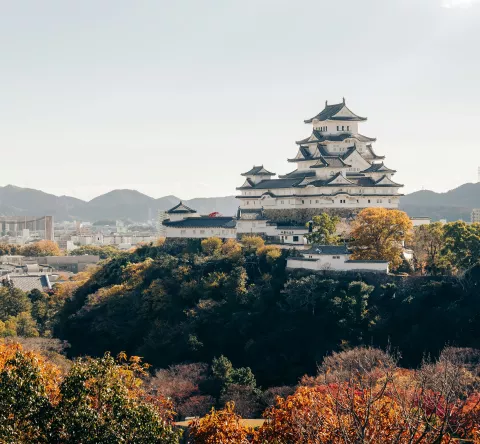 Splendeurs du Japon avec l'ATC Routes du Monde